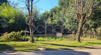 Terreno sobre Avenida Principal